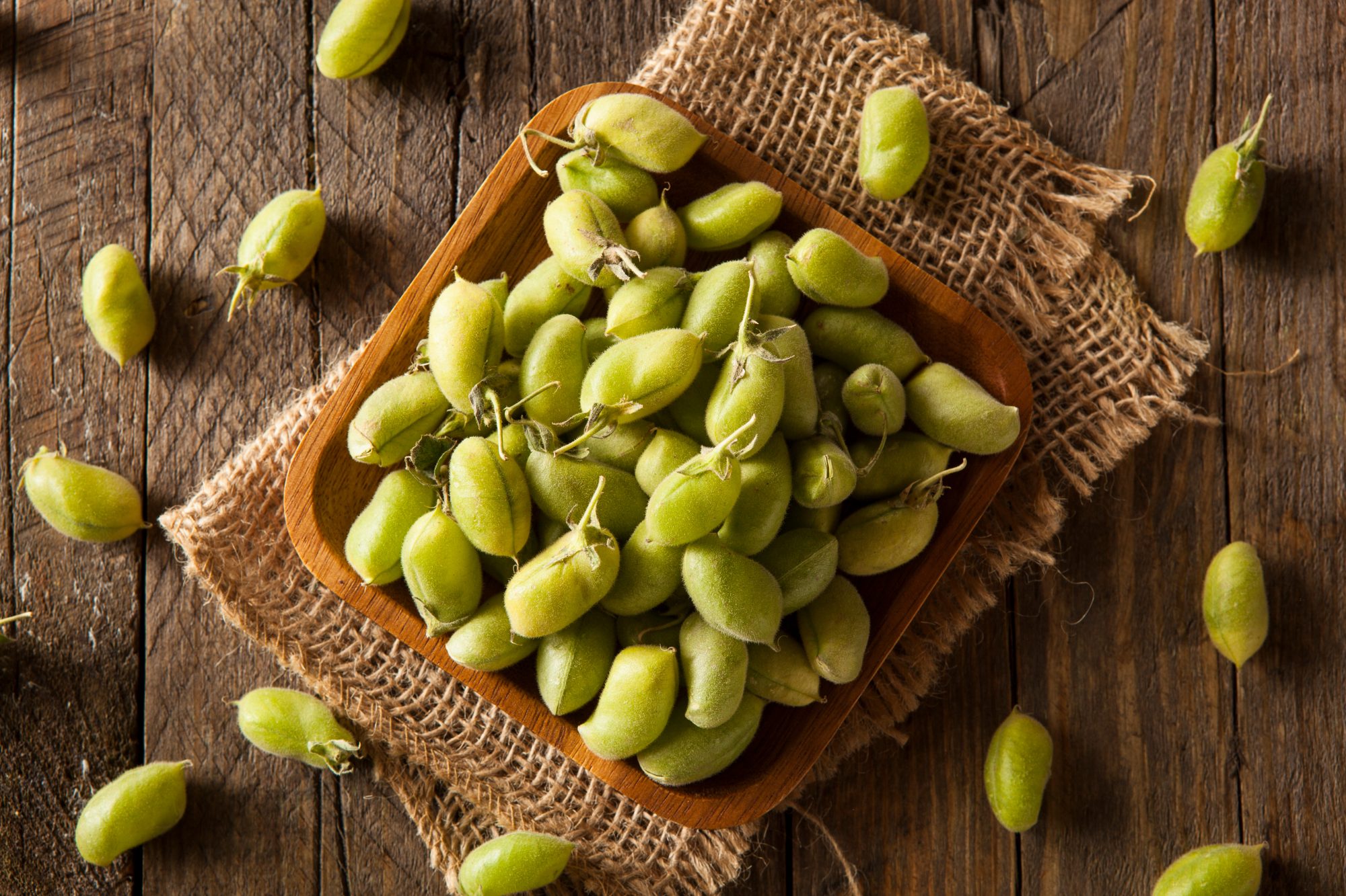 Raw Fresh Organic Green Garbanzo Beans in a Bowl